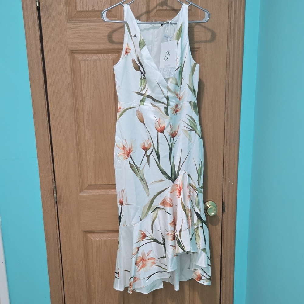 Nwt Fehaute Sz 4 Floral Sleeveless Dress